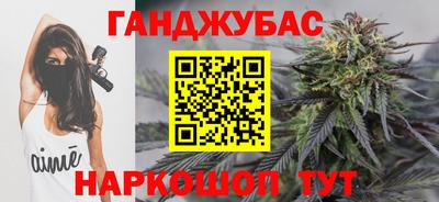 гашик Камышлов