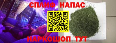 гашик Камышлов