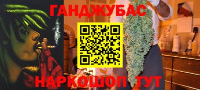 гашик Камышлов