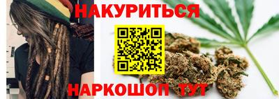 гашик Камышлов