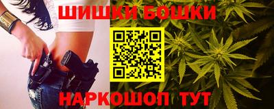 гашик Камышлов