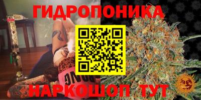 гашик Камышлов