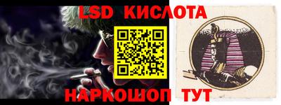 гашик Камышлов